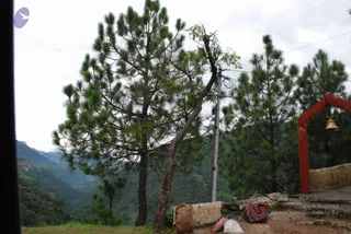 July 07 2008