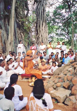 Outdoor ritual photograph beneath a large banyan tree with thick hanging aerial roots. A bare-chested man in an orange saffron wrap and orange head turban sits on a low red-cushioned seat, raising a small object in his right hand while a brass tray with an oil lamp and flame sits before him on the earth. Around him, a dense crowd of devotees sits or stands, many men and women in white clothing, some with palms joined in prayer, a girl in an orange-and-white patterned dress and a young girl in white seated at right. Rounded rocks are piled along the right edge, with flower petals scattered on them. Behind, women in white and pastel saris stand with hands folded.