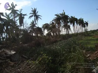 January 07 2012