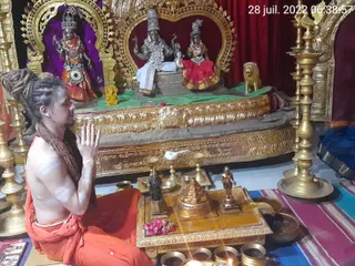 Photo 6678239