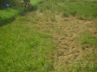 September 2006 - Sindhanur flood relief