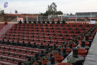 February 23 2011