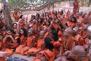 Photograph of a large seated group of devotees in saffron and orange robes outdoors beneath a large banyan-type tree with spreading aerial roots. Many participants have shaved heads or tied-back hair, white vertical forehead markings, and beaded rudraksha-style malas. Several raise their hands, some with fingers pointed upward. A man in the lower right wears a saffron shawl, glasses and a multi-strand beaded necklace, sitting among the group. A standing figure in a saffron cloth at the top right and a few other seated attendees complete the scene, with a white ceremonial vessel visible at the bottom edge. Walls and greenery frame the background.
