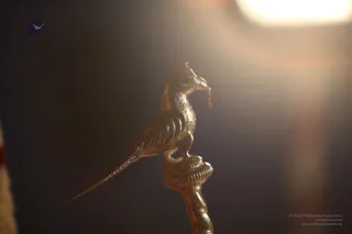 Close-up photograph of a gold-toned parrot finial atop a long twisted rod, with a small red bead hanging from its beak. The bird perches on a ribbed round base against a dark, softly lit background with a warm lens flare at upper right. No people are visible.
