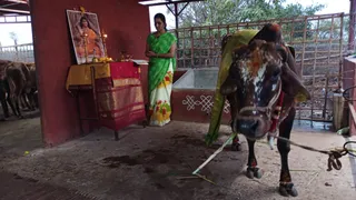 December 26 2021 sripuram Sarvajanpeetam