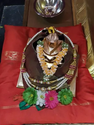 APATH SANYASI - MALE on 9/11/2021