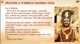 A presentation slide with a light orange gradient background. On the left, dark red text reads Process 2 with an arrow, followed by instructions in bullet and paragraph form about entering an animal body and reliving unsaid hunger, anger, fear and lust patterns. On the right, a photograph shows a smiling bearded man in a tall black and gold crown with a red gem and a white ornament, wearing a saffron-orange garment, a coral and gold rudraksha-style mala and ceremonial gold necklaces, raising one hand in a blessing gesture before an ornate golden throne with draped gold fabric. A white tilak marks his forehead.