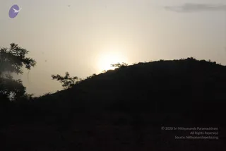 August 05 2009