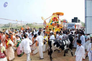 Outdoor procession on a dusty open road with a decorated ratha chariot at centre, its canopy and wheels draped in yellow and orange flowers, tassels and garlands, carrying a seated deity murti. Many devotees in white dhotis, white kurtas and white saris, some with orange and yellow shawls, walk beside it and follow a black-and-white spotted bull on the right. A white bus with blue lettering is parked behind, and a speaker stack stands at the right edge beside a large billboard. Field and trees lie in the hazy background.