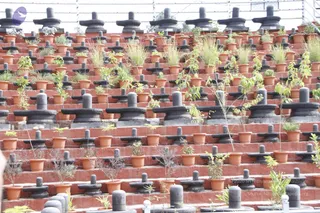 August 08 2011