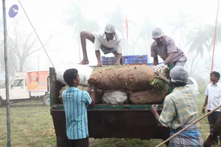 A photograph taken in misty, hazy conditions of workers unloading sacks of vegetables from the flatbed of a truck on grass near palm trees. A man in a white shirt and blue shorts stands on the truck bed with bare feet, while a worker in a grey-pink shirt and white head cover reaches down. A young man in a blue striped shirt pulls on a sack from behind, and another worker in a yellow-checked shirt and white head cover handles a rope. A small orange banner with a portrait and Tamil text is visible at left beside a white van, and an orange flag pole stands at right.