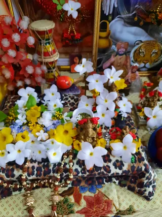 Photo 6678342