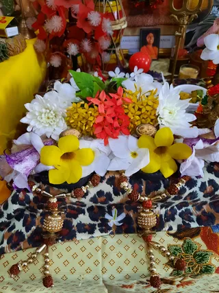 Photo 6678344