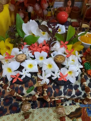 Photo 6678346