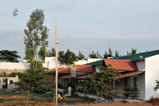 November 20 2008