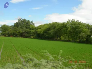 October 16 2006