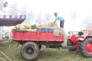 A man in a light blue striped shirt and brown trousers stands on a red tractor trailer, leaning over its load while tying down sacks and bundles with yellow rope. The trailer carries burlap sacks of produce, green bags, and a blue plastic crate. A red tractor sits at right, and a striped canopy and palm trees fade into fog in the background. A second man in white stands near the tractor.