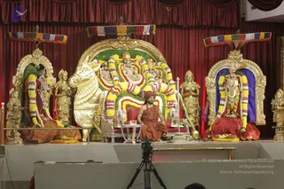 A stage set for satsang with a gilded throne backed by a golden bull-shaped seat garlanded with yellow, orange and multicolour flowers, flanked by two gilded deity murtis, one on the left and one on the right, each garlanded with flowers. A man seated cross-legged on a red cushioned dais in front of the throne wears an orange-saffron dhoti and shawl, a red-orange turban, and a long rudraksha mala, with a small table and offerings before him. Red velvet drapes and striped canopies frame the stage, and a video camera on a tripod is in the foreground. Several people are only partly visible at the lower edge.
