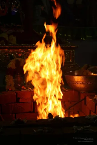 20111110 IMG 2990-133001.jpg