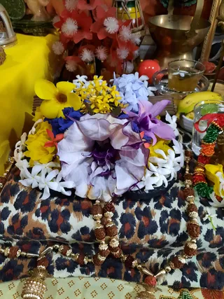Photo 6678429