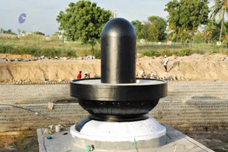 November 20 2008