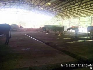 January 05 2022