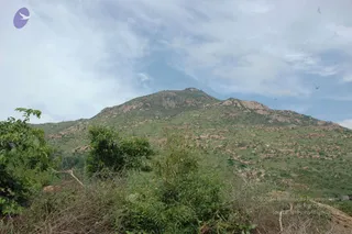 May 20 1989