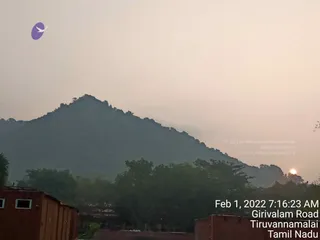 February 01 2022