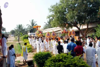 A procession moves along a dirt path lined with palm trees, a large shade tree and low white buildings. Men in white dhotis and white shirts walk in the crowd, some wearing yellow shawls and orange sashes. Near the centre, a decorated palanquin with a golden canopy and an orange-and-gold umbrella is carried forward, and several other ornate umbrellas with red, gold and white patterns are held aloft. Musicians on the right play brass horns. Some people in darker clothing, including blue and red shirts, walk among the crowd. No figure can be confidently identified as a person from appearance here.