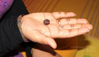 2011 -eNMiracles Collections