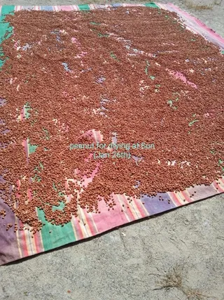 20210601 1184 191665721 FB.jpg