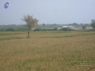 September 2006 - Sindhanur flood relief