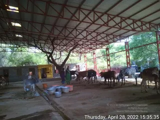 April 28 2022
