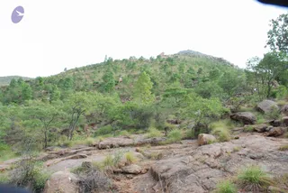 August 03 2008