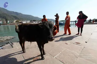 A photograph on a stone riverside ghat beside a turquoise river with hills and a town behind. In the foreground a dark brown cow stands on the pale flagstones looking toward the camera. Behind it, a woman in an orange shawl sits on the steps, and a man in orange robes stands with folded arms beside a bald man in an orange-brown wrap. On the right a woman in a pink tunic and black leggings stands smiling. A small blue boat is moored at the dock, and a few more people are visible in the distance.