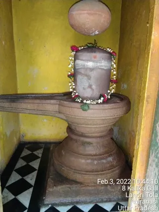 KAILASA India Uttar Pradesh Kashi 221001 on 2/3/2022