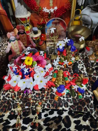 Photo 6678644