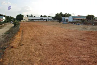 November 20 2008