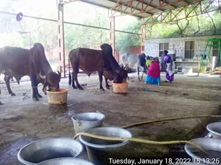January 18 2022