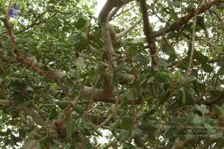 September 05 2009