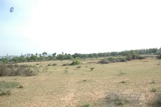 1978 - Tiruvannamalai - InnerGirivala