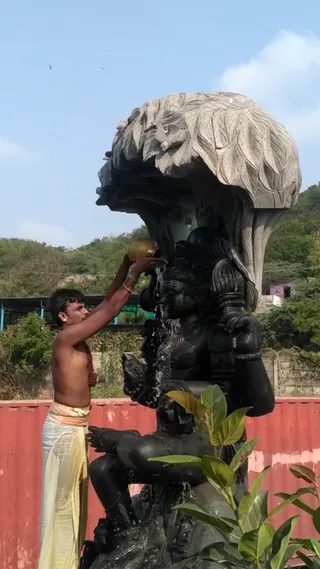 Photo 6678772
