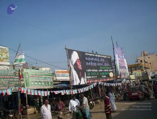 November 20 2005