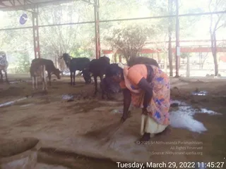 March 29 2022