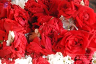 January 01 2011