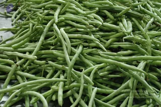 A close-up photograph of a large heap of freshly washed green beans, long slender pods with thin stems still attached, glistening with water droplets on a pale metal surface. No people, deities or ritual objects are visible. A small blue-and-white logo appears at the upper left and copyright text sits at the lower right.