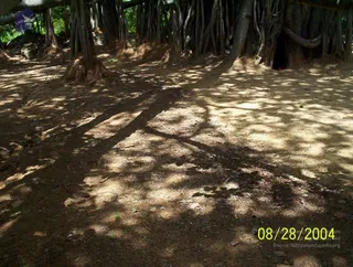August 28 2004