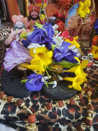 Photo 6678800