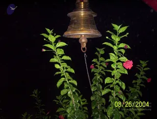A photograph at night of a polished brass temple bell hanging by a chain against a black background. Green hibiscus plants with red flowers and buds stand in the foreground. A digital timestamp reads 08/26/2004 with a copyright line in the lower right corner. No people are visible.