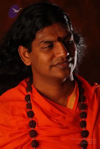 2008 SY14263 CMP WM.jpg